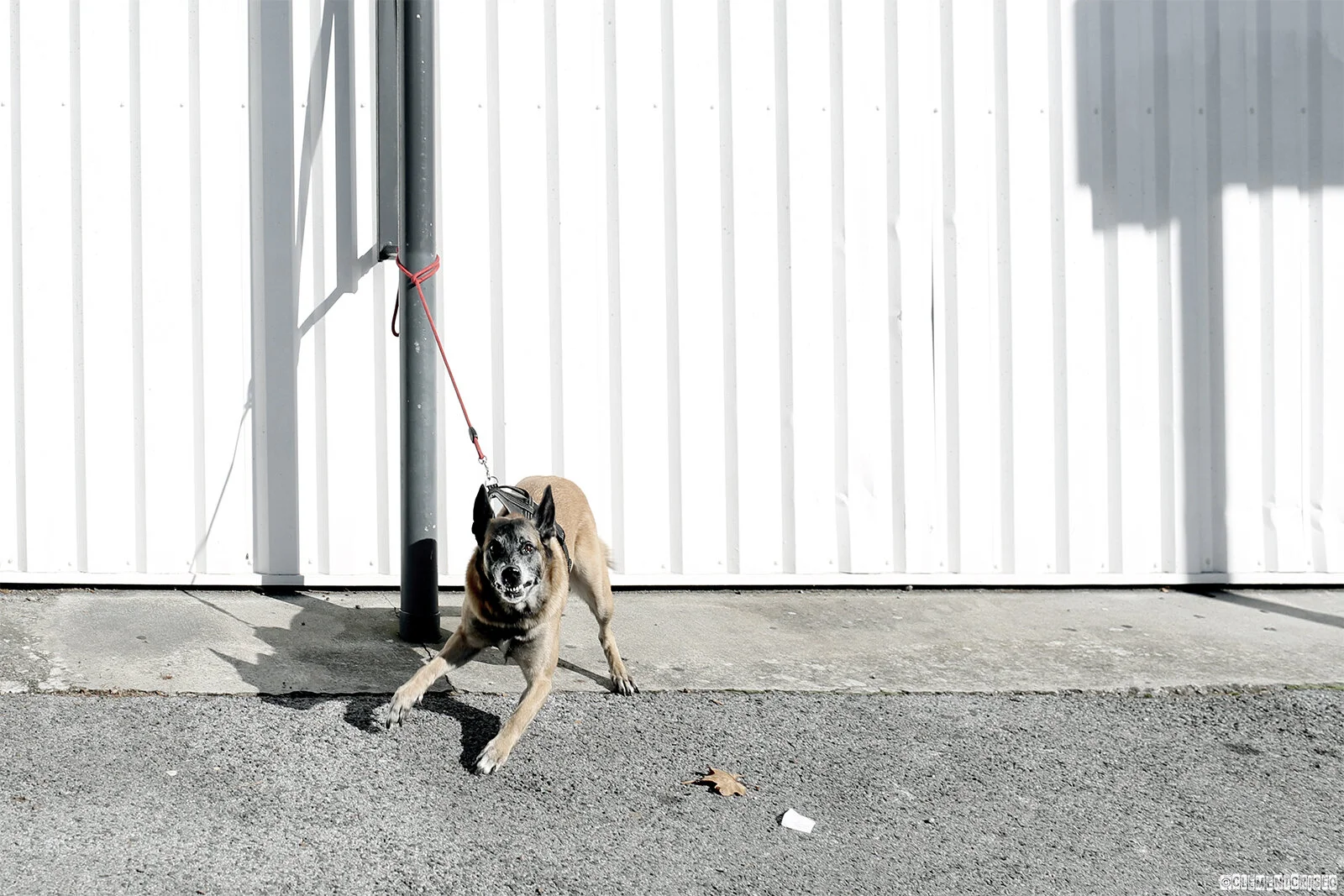Garde-chiourme