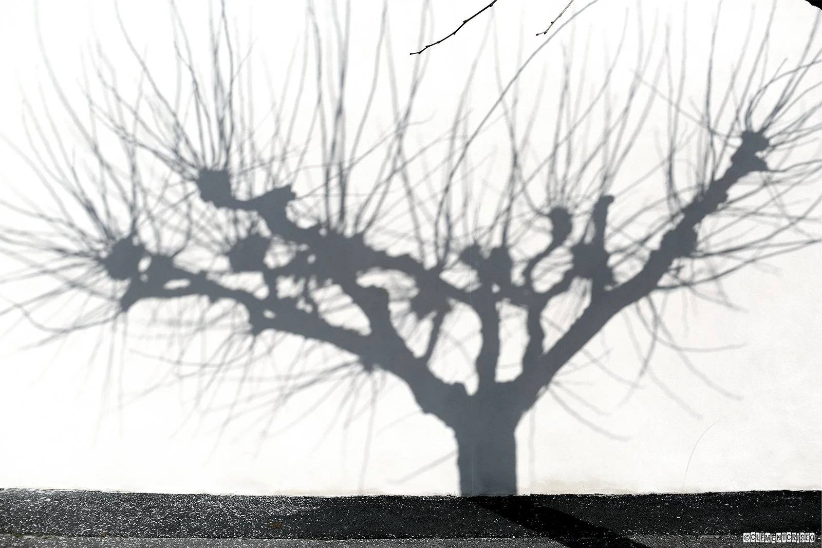 Natural Street-Art