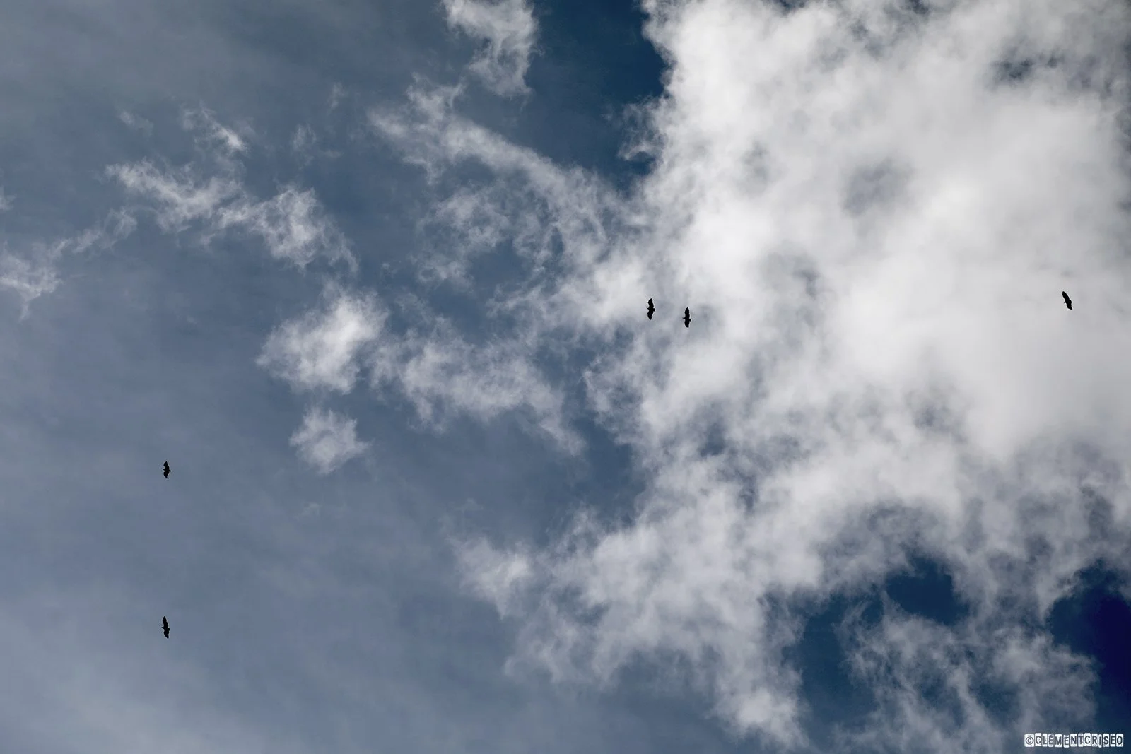 Libre comme l'air