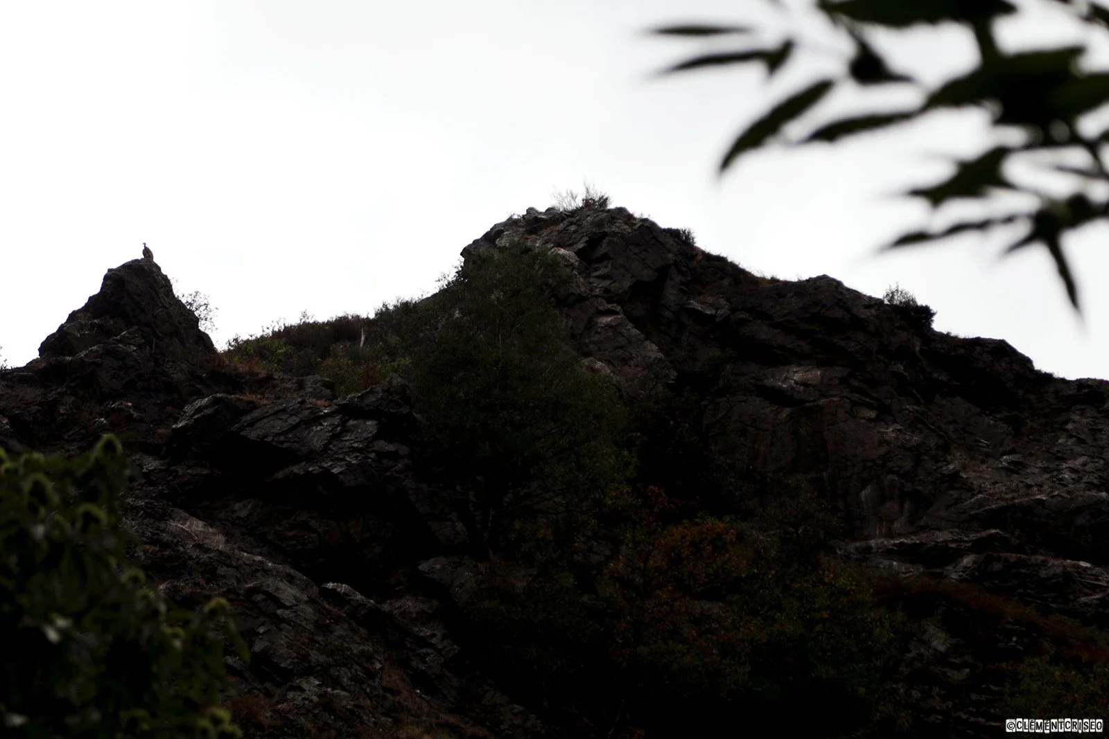 Prince des montagnes