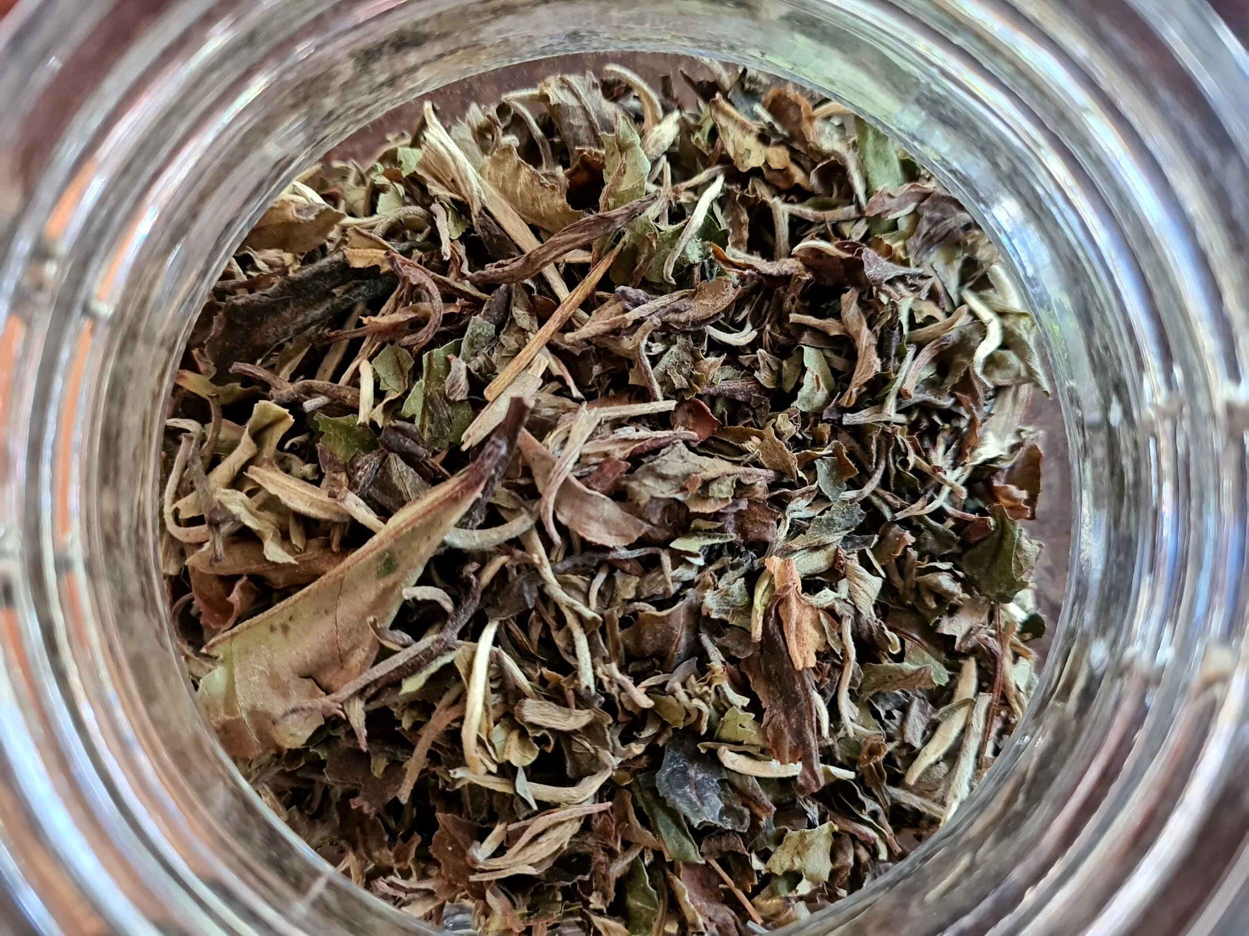 Pai Mu Tan.jpg