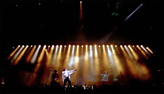 Seal90.19.jpg