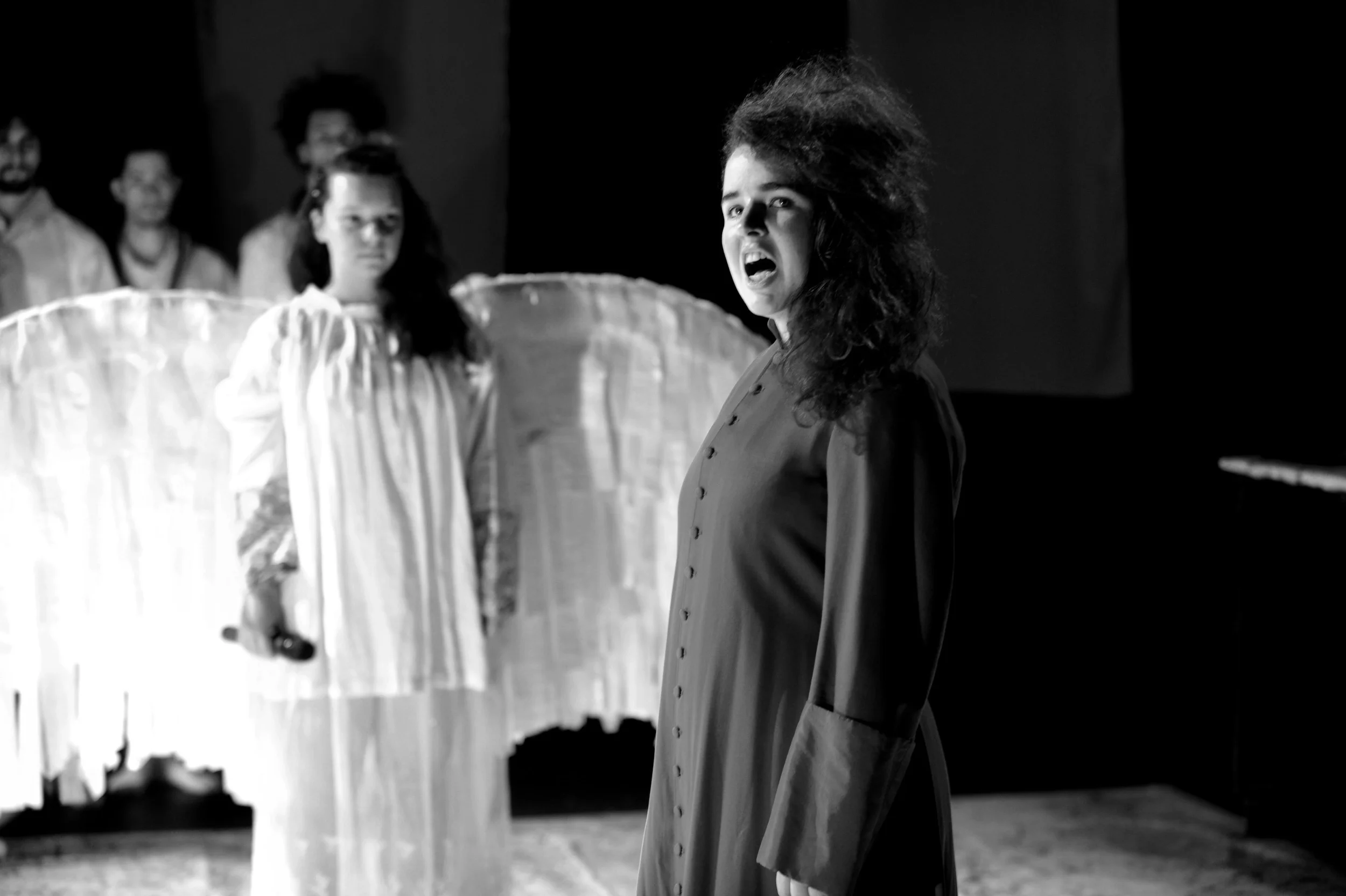 2014 MADFOREST 1910.JPG