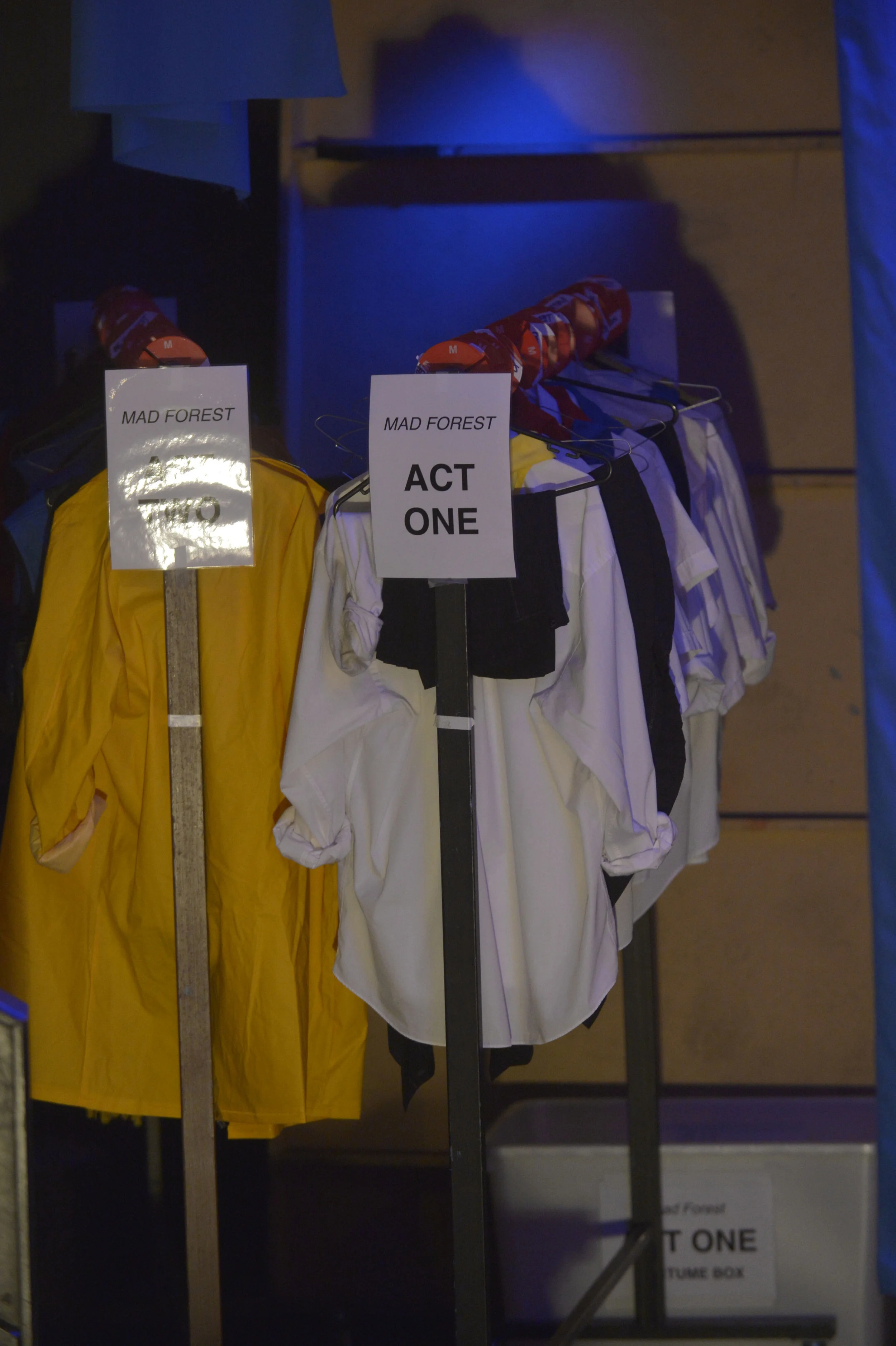 2014 MADFOREST 2369.JPG