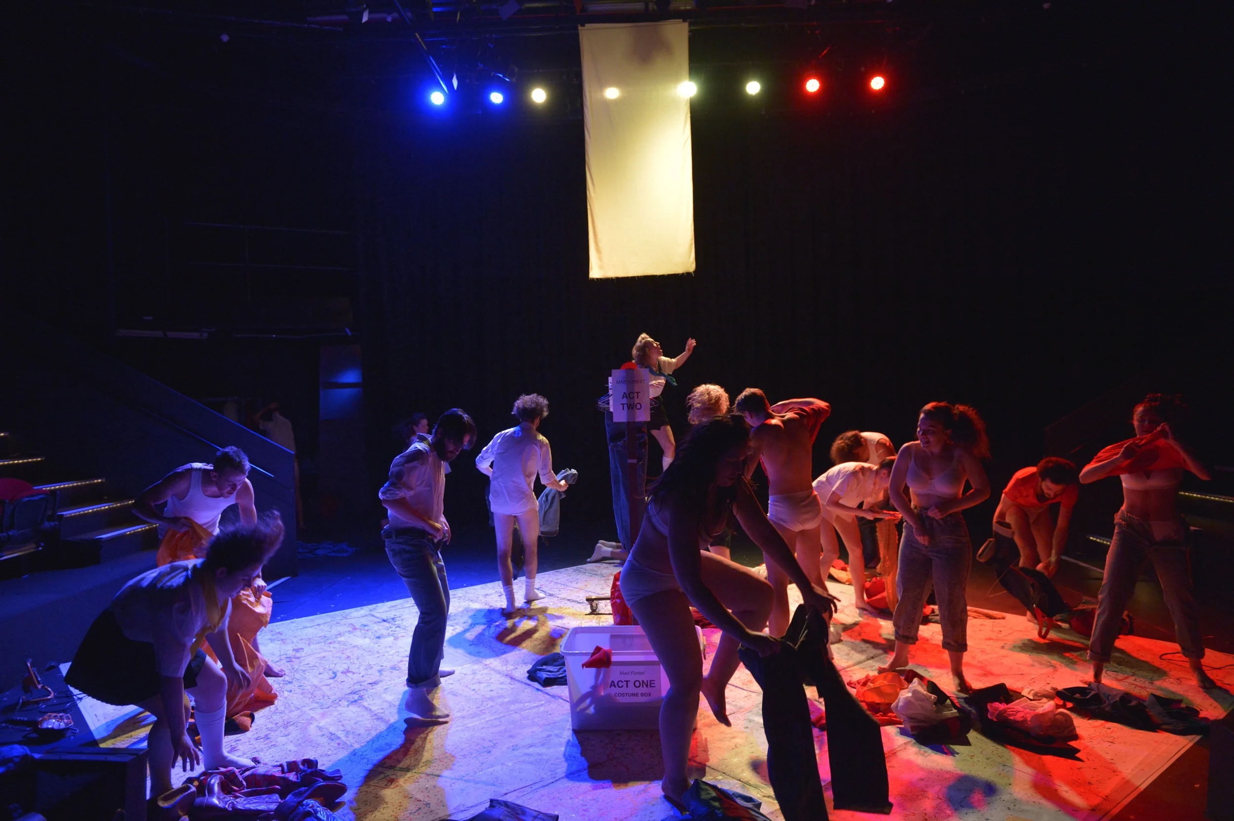 2014 MADFOREST 2608.JPG