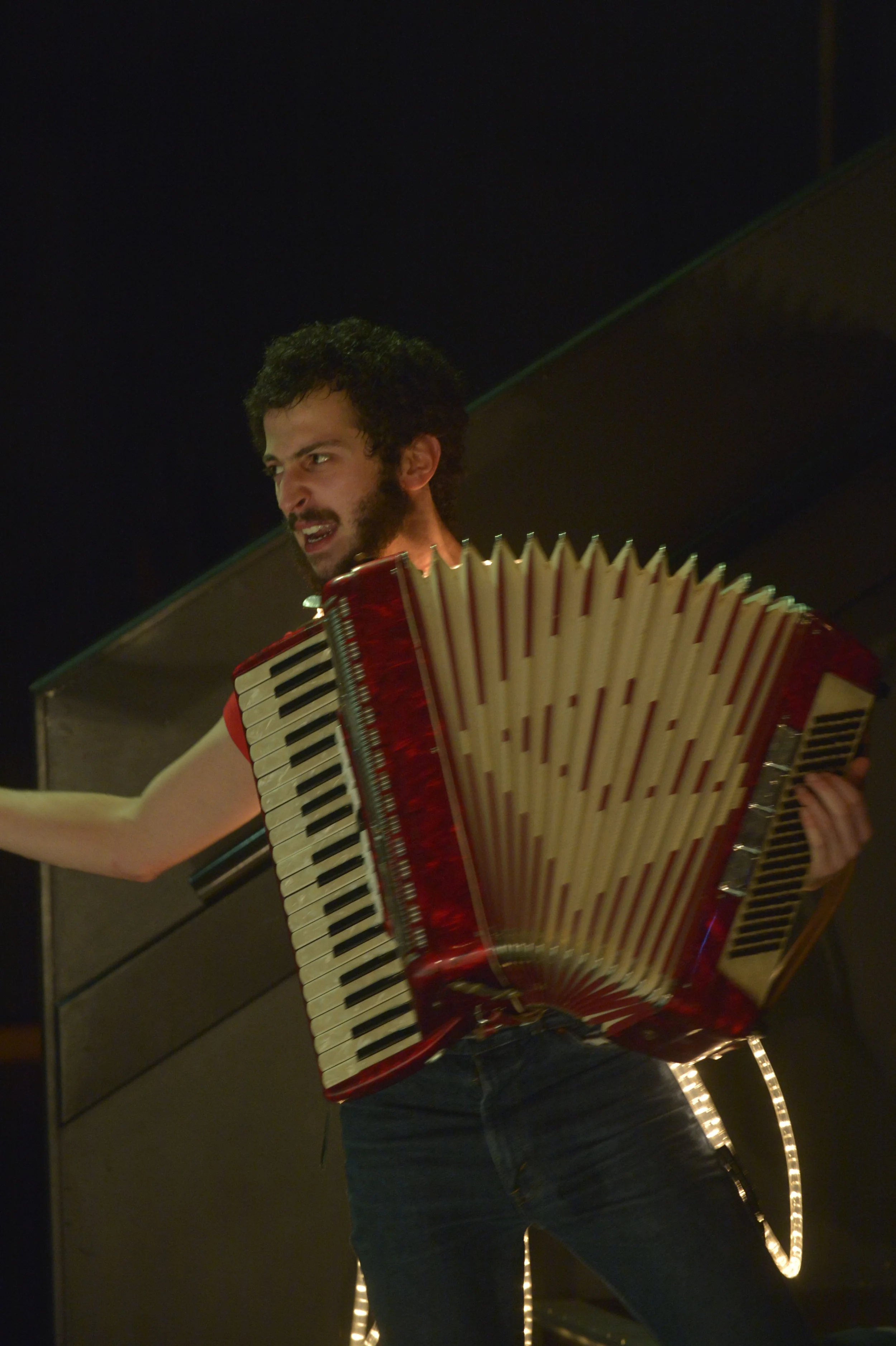 2014 MADFOREST 3046.JPG