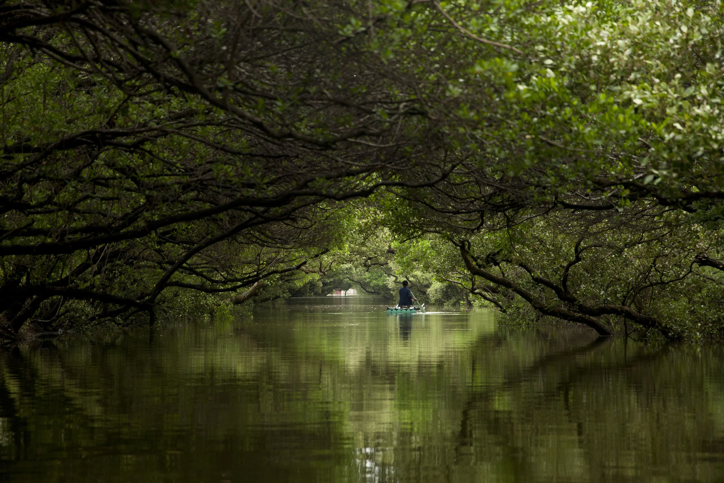 river2.jpg