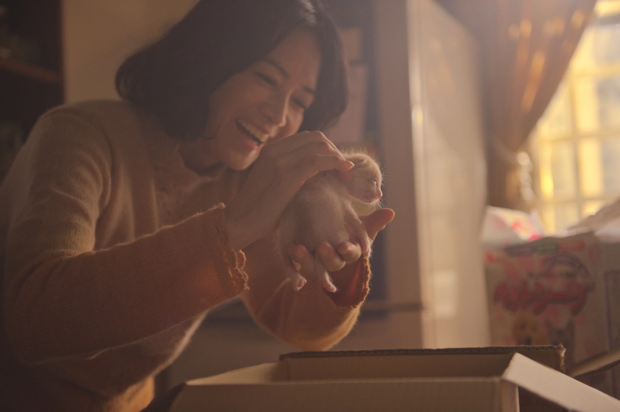 【衣櫃裡的貓】still1 .jpg