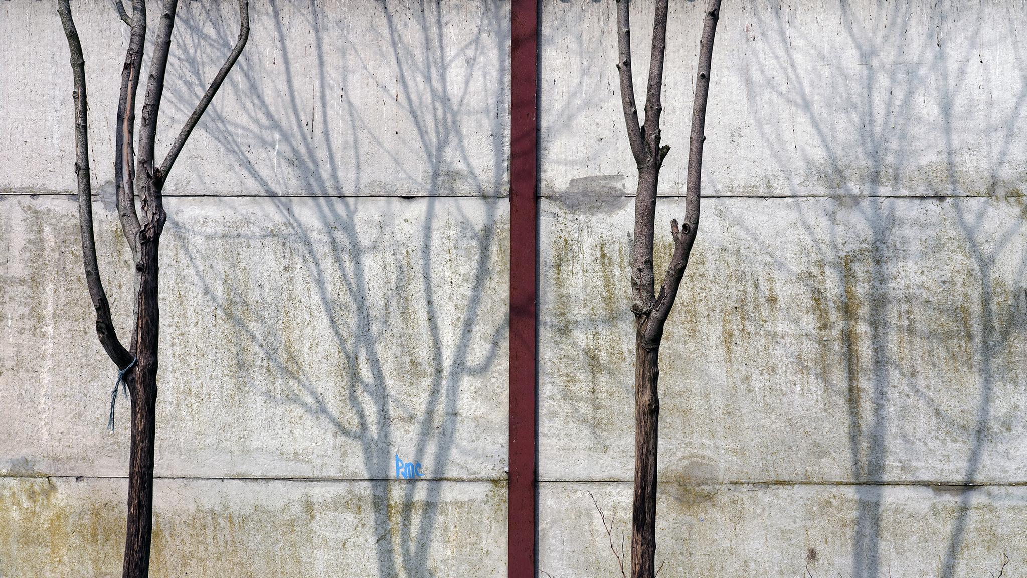 Detail 03.jpg