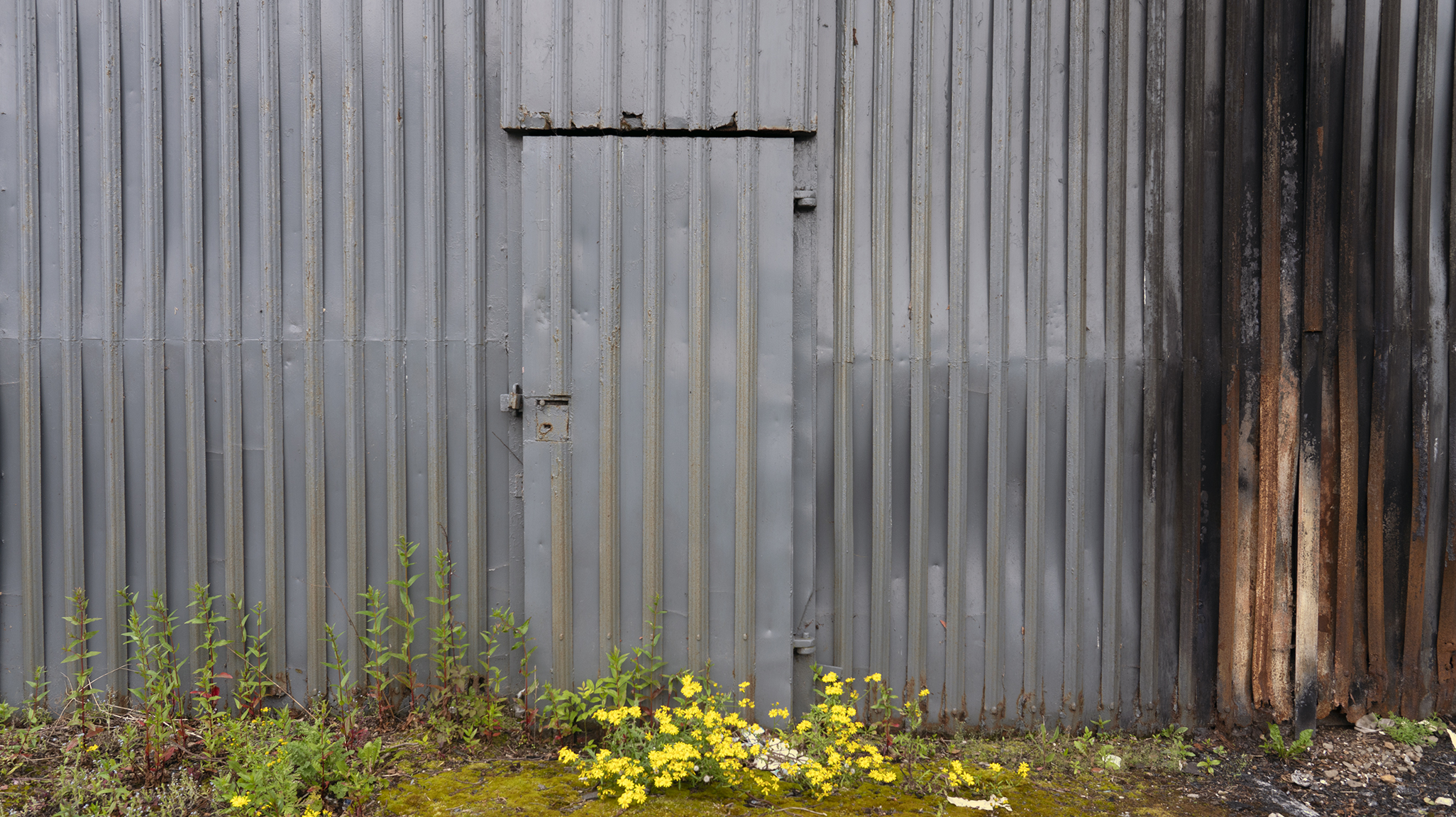 Door 03.jpg