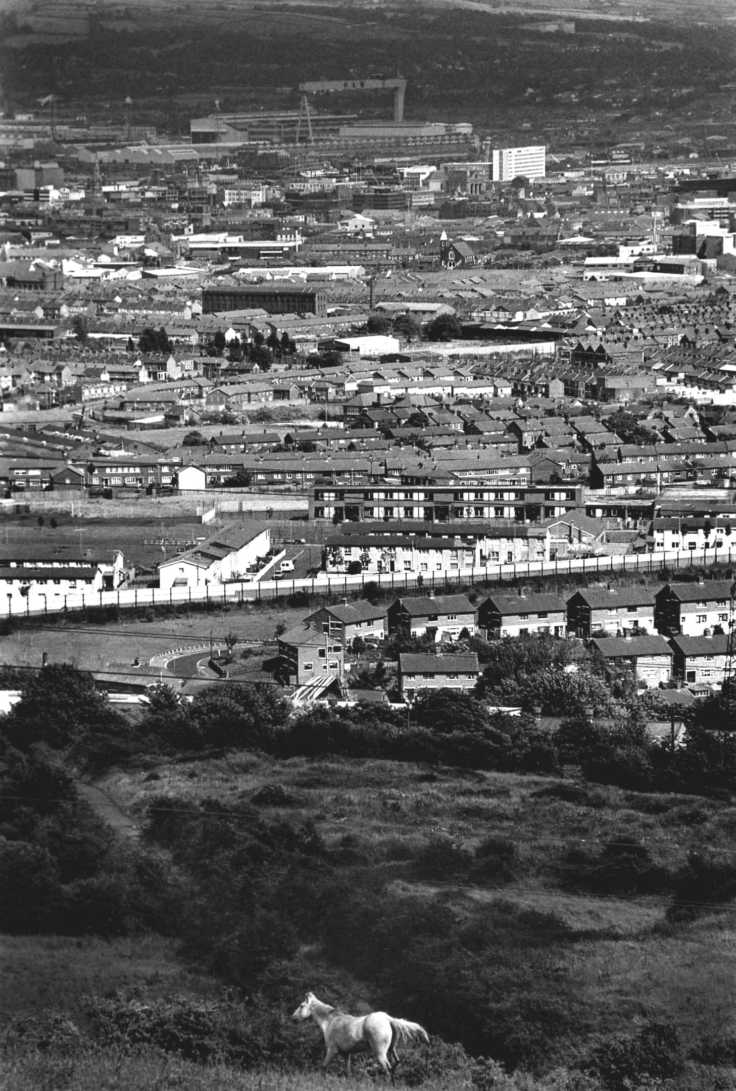 Springmartin from Black Mountain. West Belfast.jpg