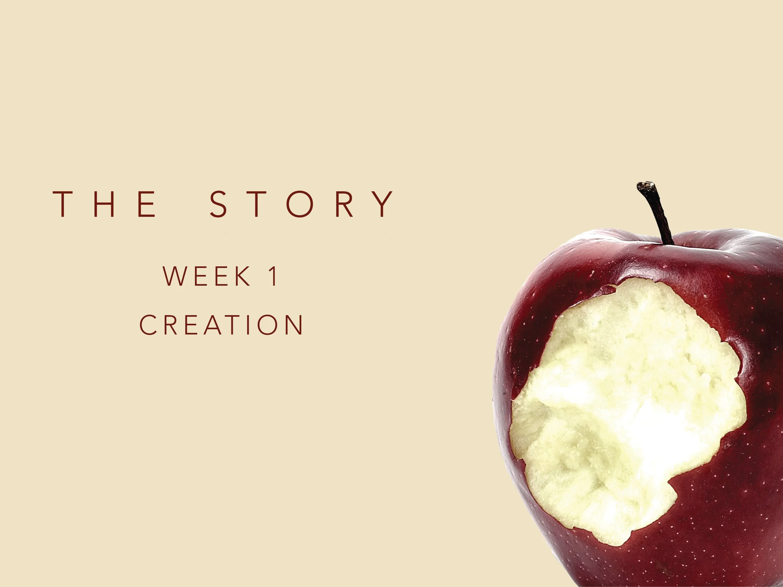 TheStory_Week1.jpg