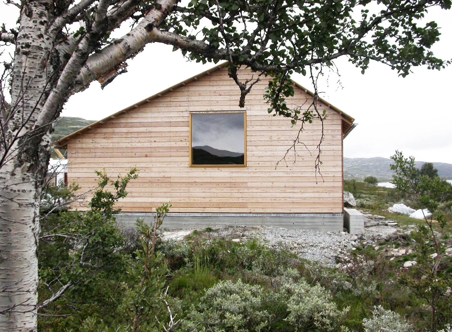 fas v vårDSCN1678.jpg