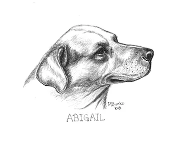 Abigail