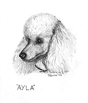 Ayla