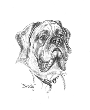 Brody