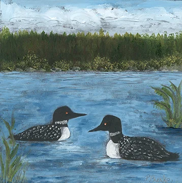 Squam Loons