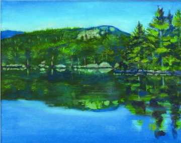 Veerie Cove Reflection