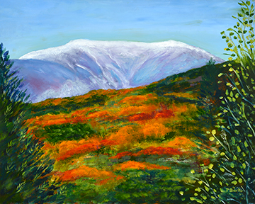 Mt. Washington