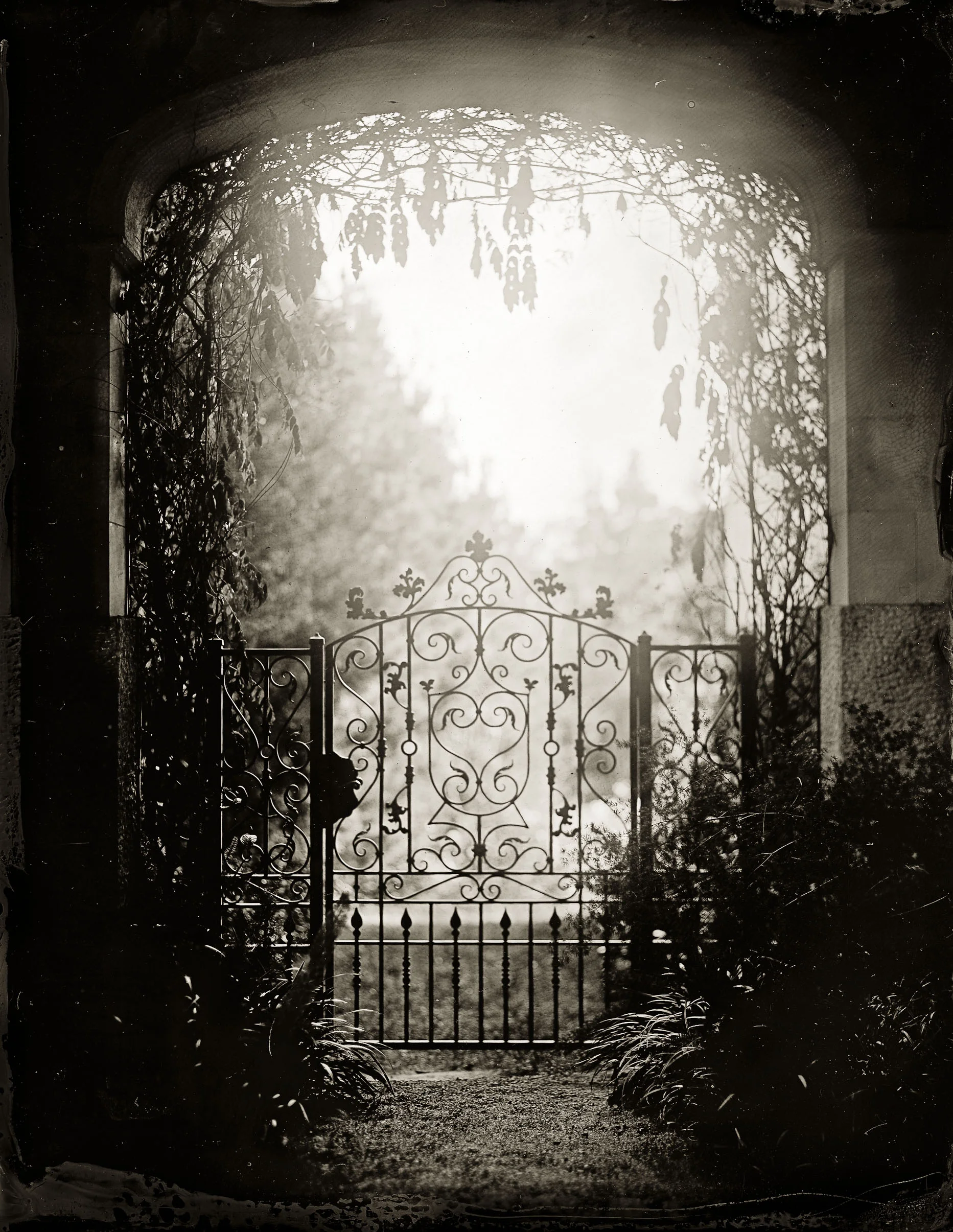 carolwood-.jpg