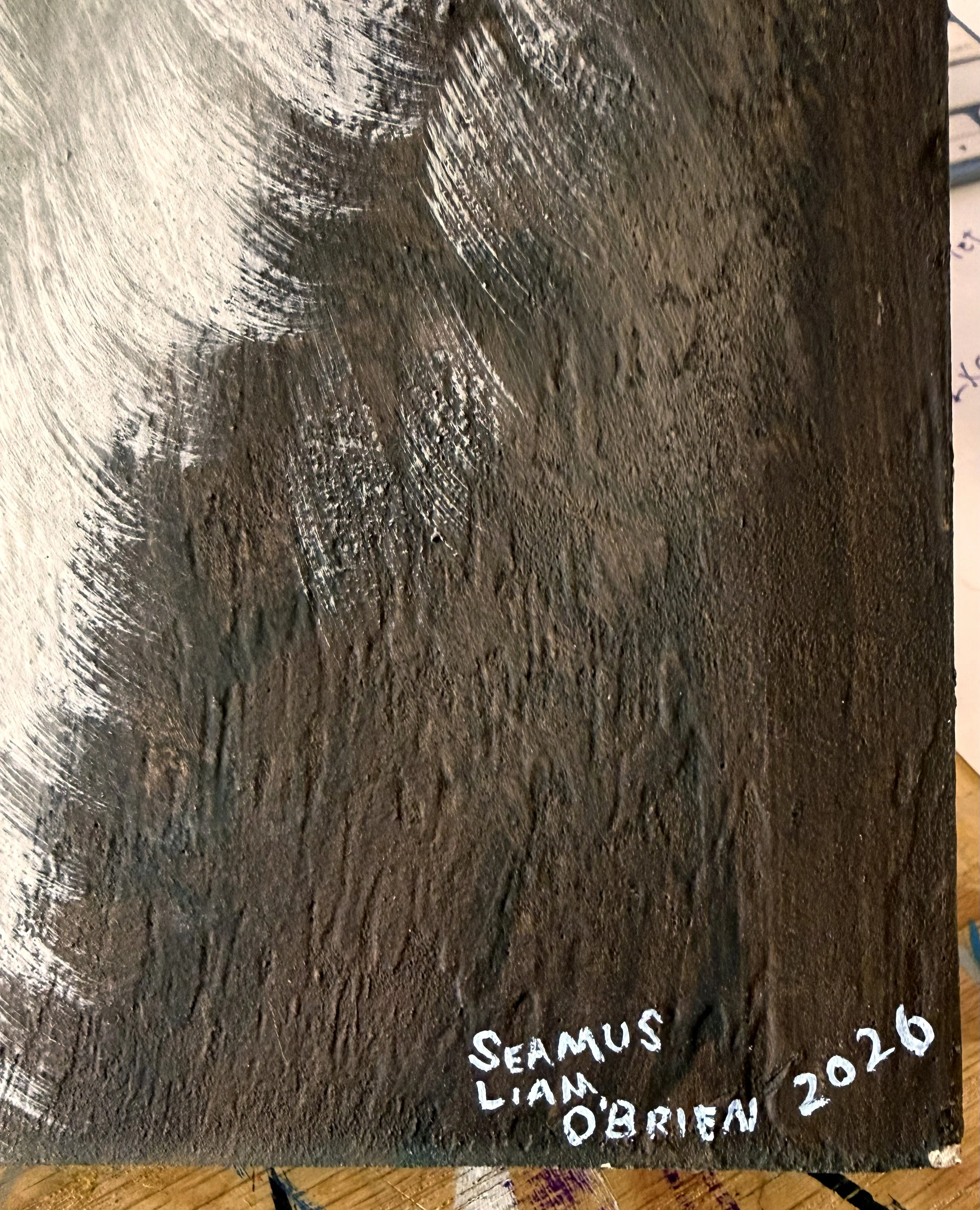 The name, Seamus Liam O'Brien, painted in white on a tree bark surface.
