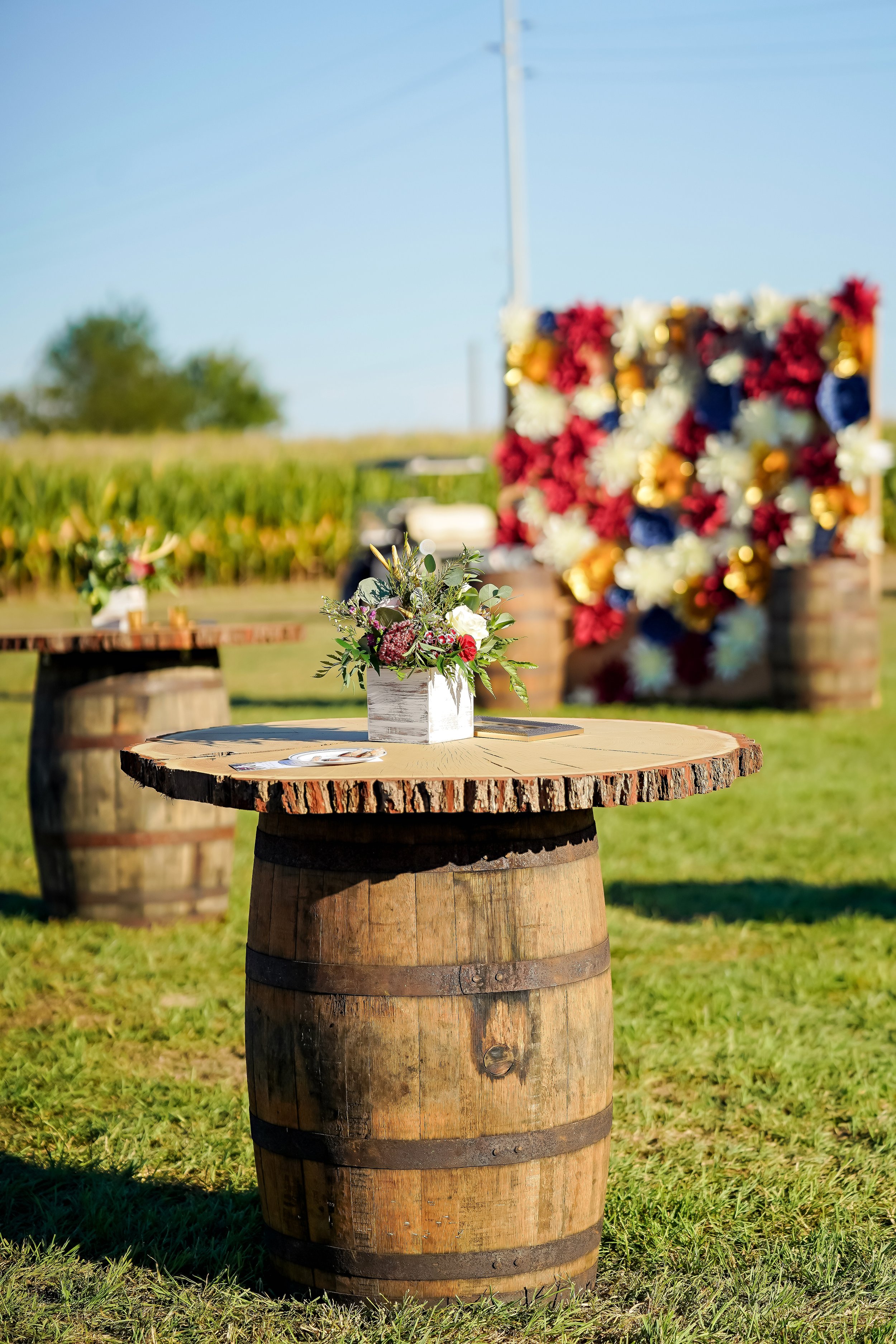 Jessie_Josh_Rural_Whitestown_Tented_Open_Field_Wedding_224.JPG