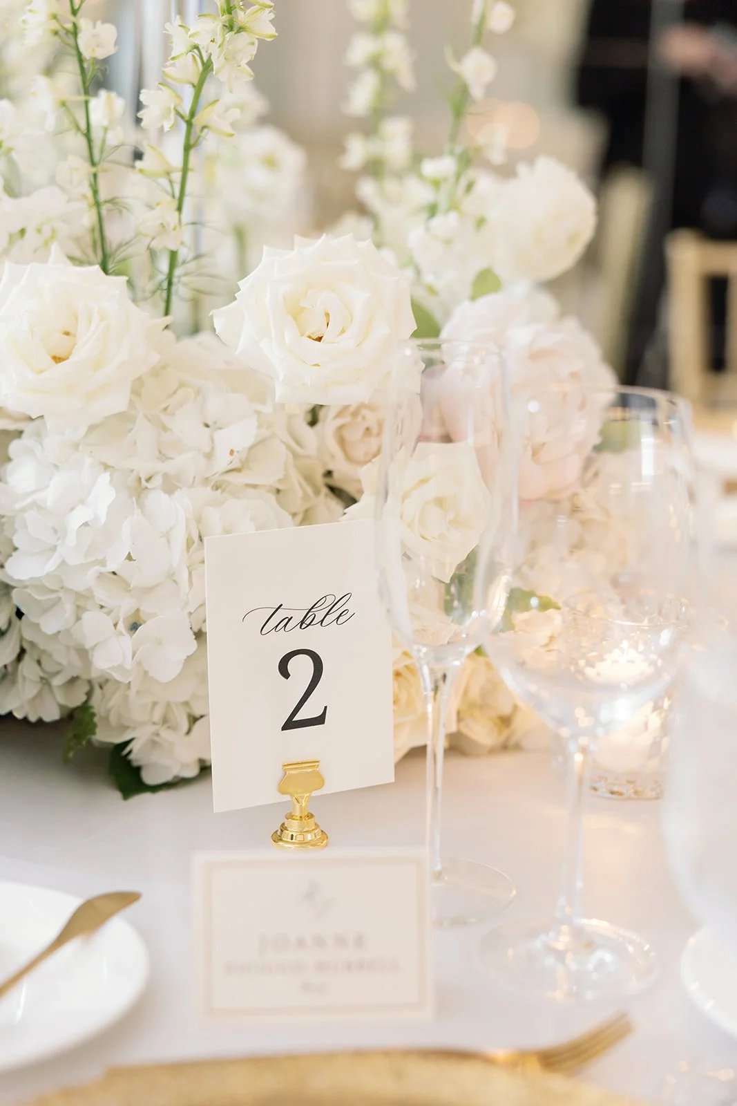 Rebecca Shehorn Photography Tony and Robert Hotel Carmichael Wedding Previews-97.jpg