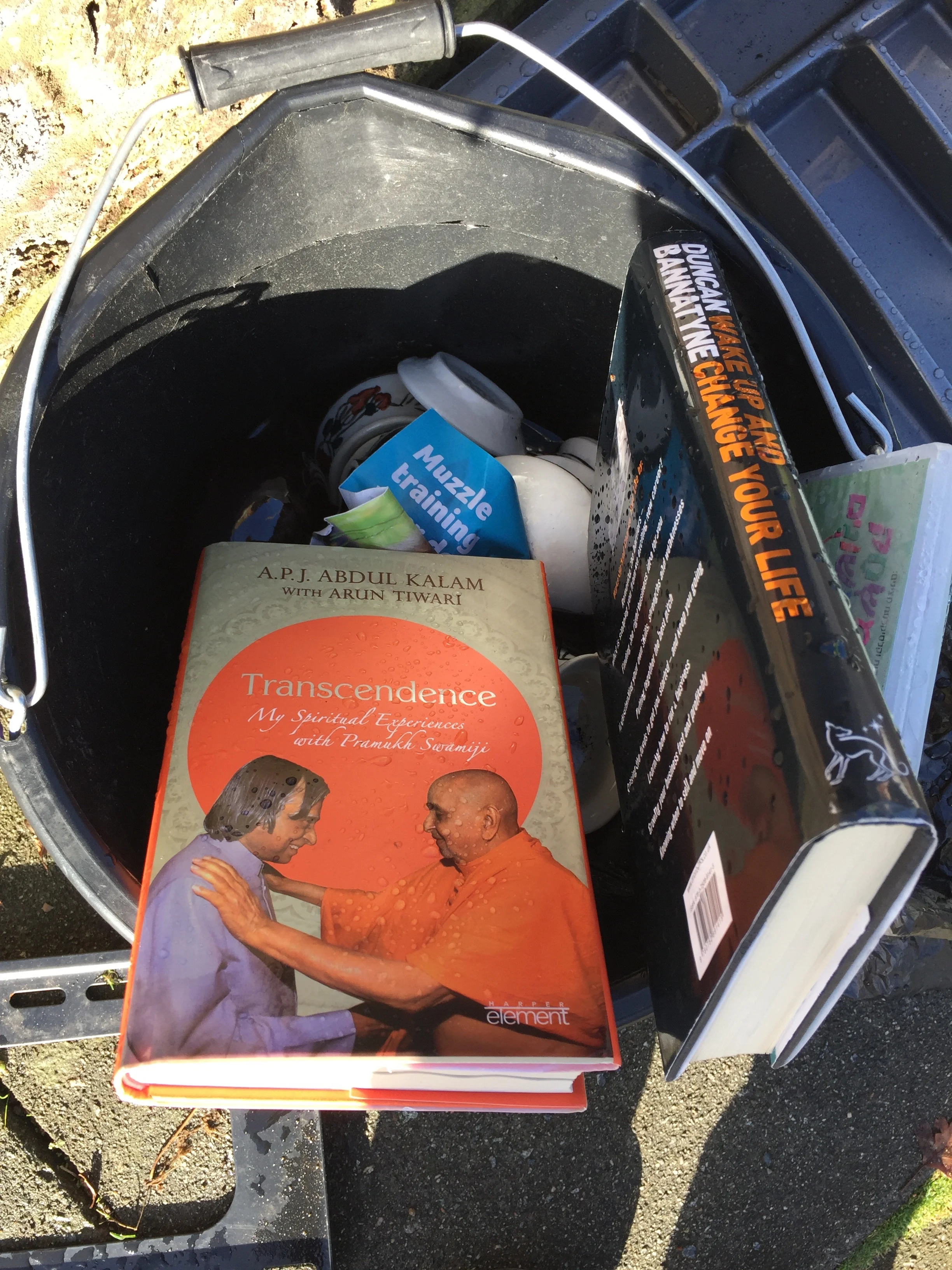 transcendence in the bin.jpg