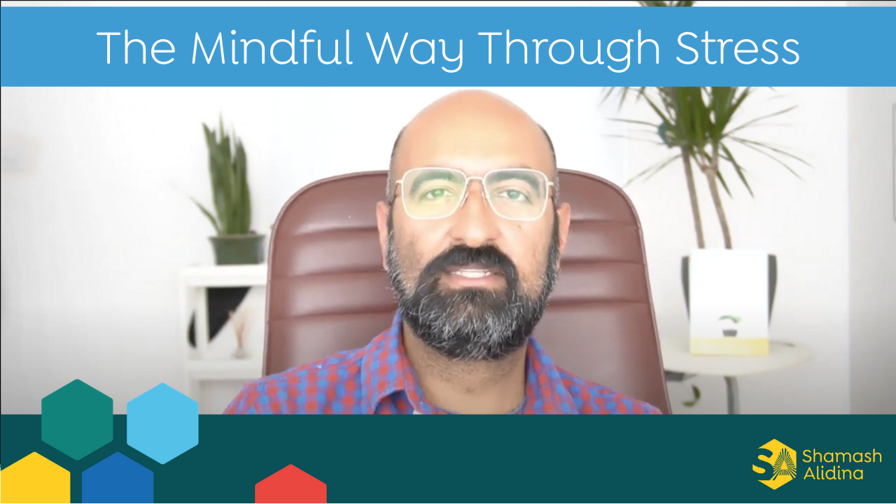 The Mindful Way Through Stress