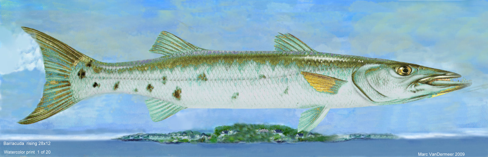 Water_colored fish