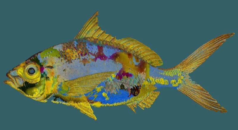 Green Fish
