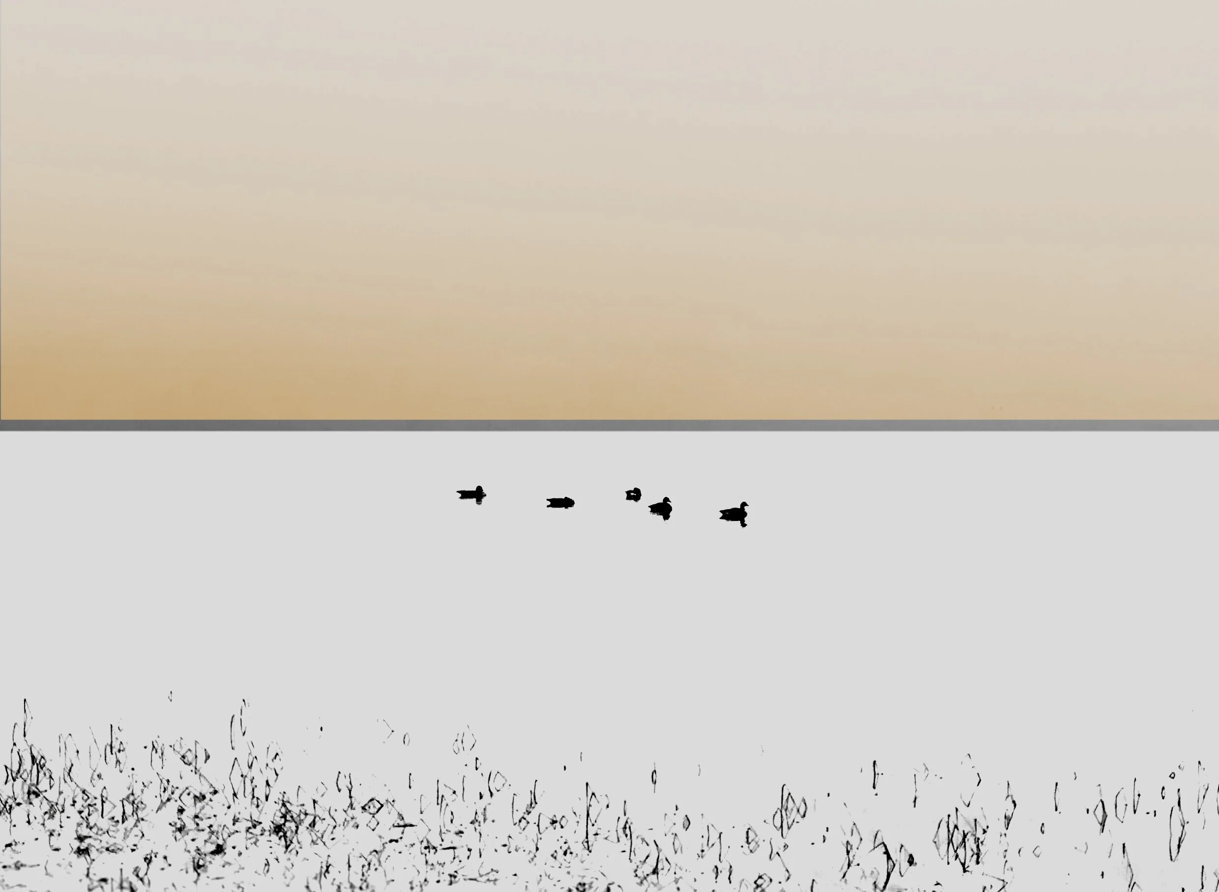 45BAAAA0-C5FF-42E6-A72E-E23A00092B97