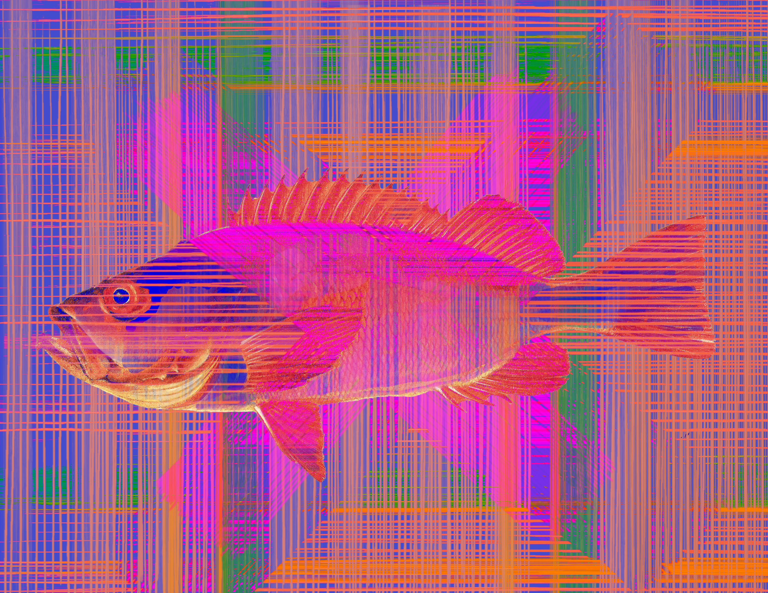 IMG_3467.png