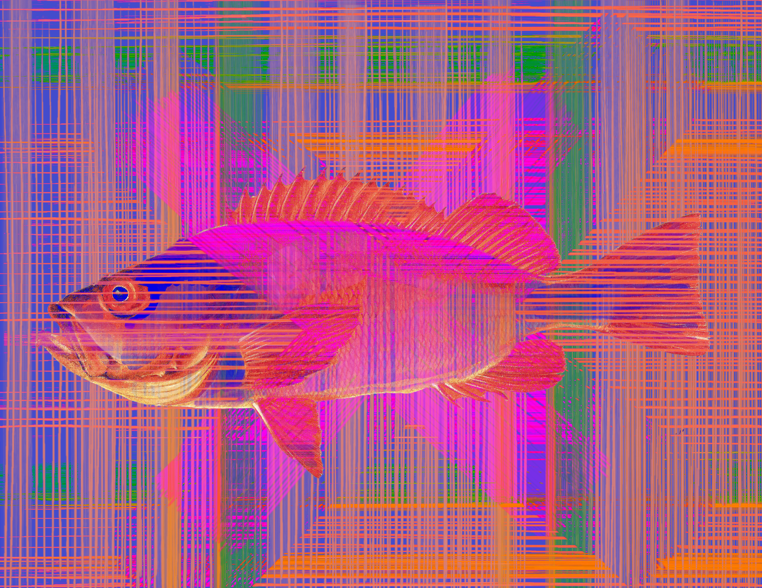 Red Fish Weave