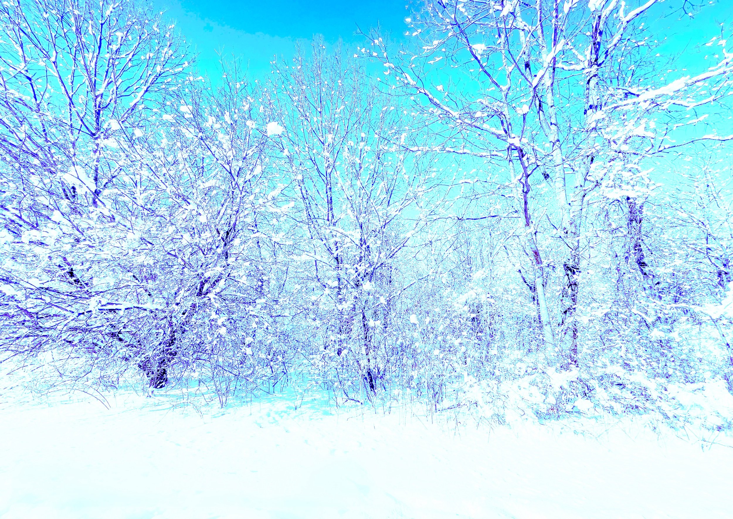 VanDermeer_Blue Snow.jpeg