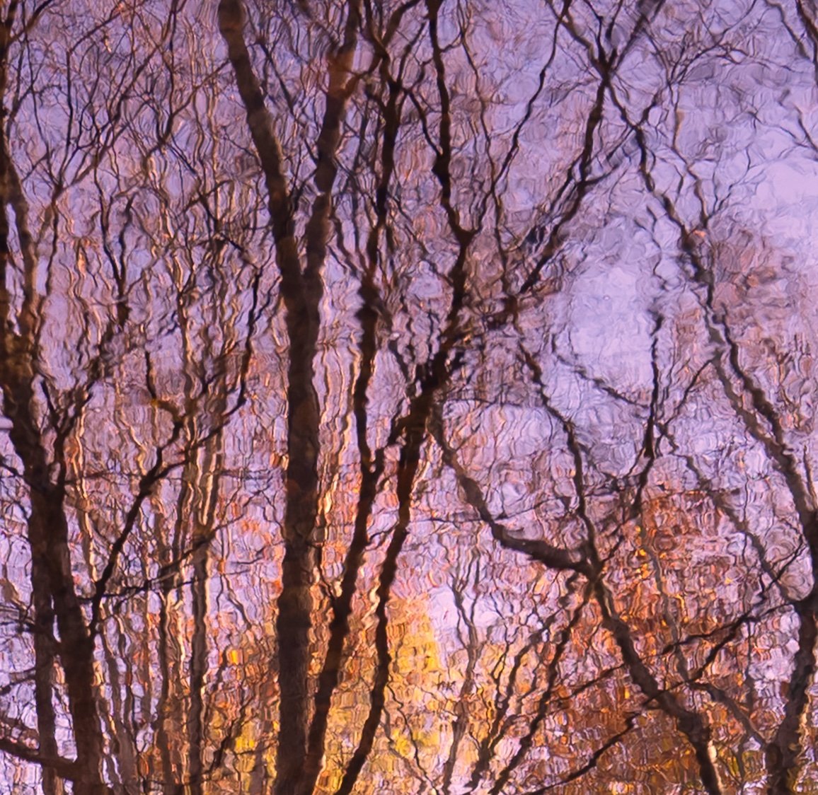 Reflection_6