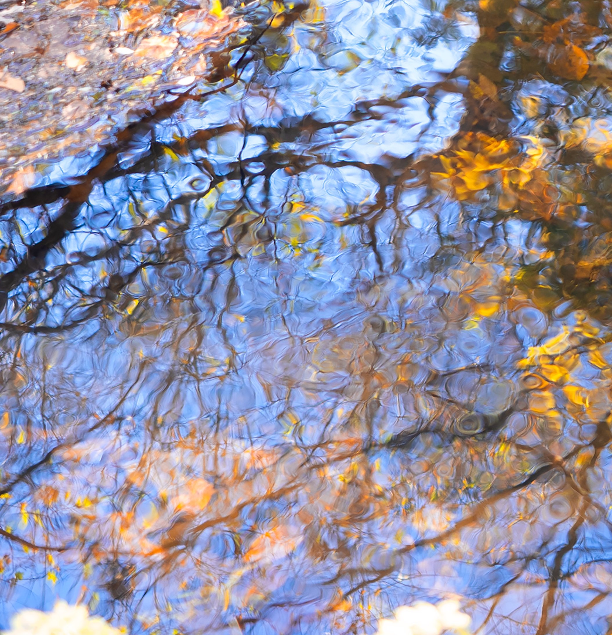 Reflections 1