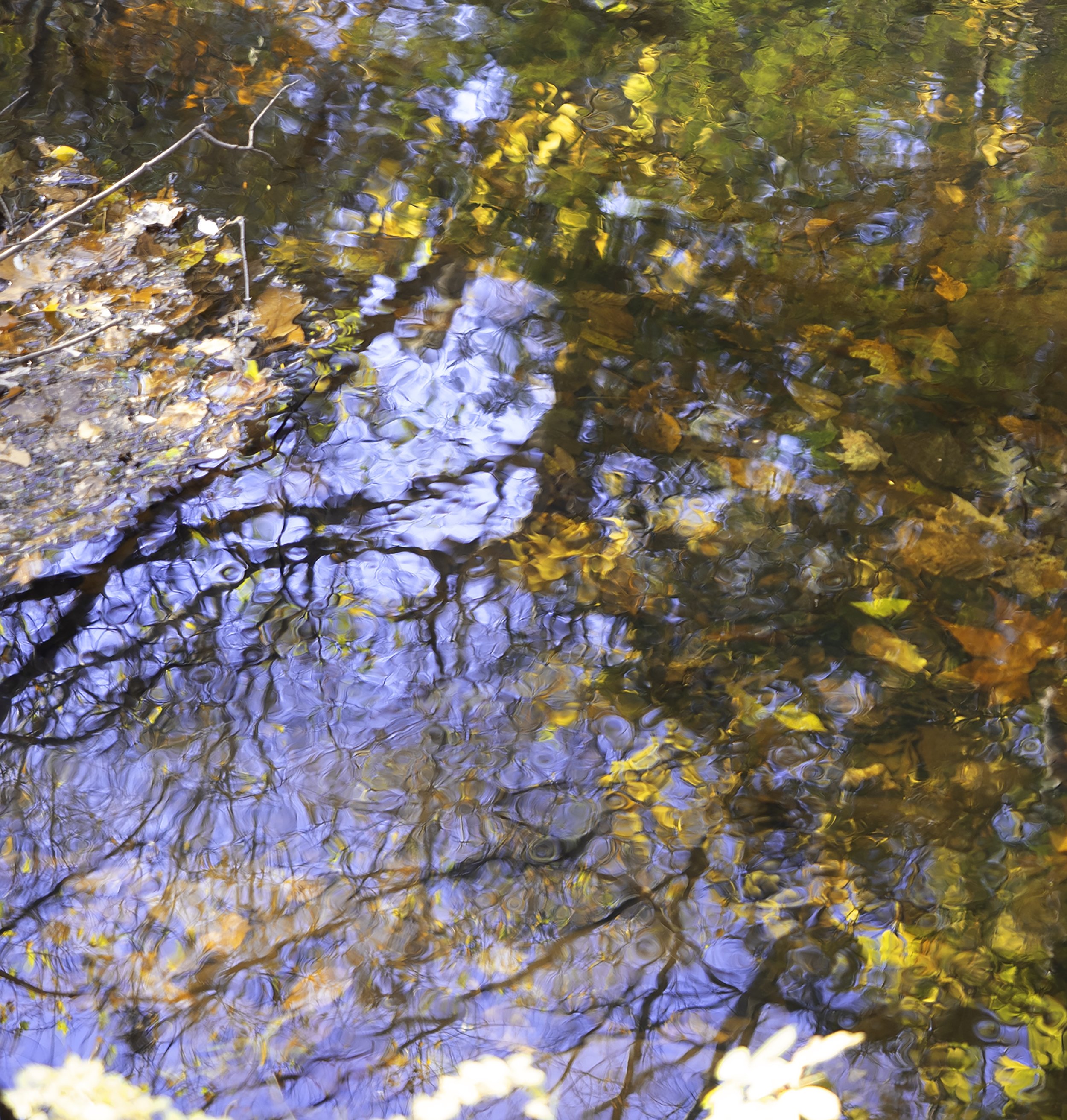 Reflections3.jpeg