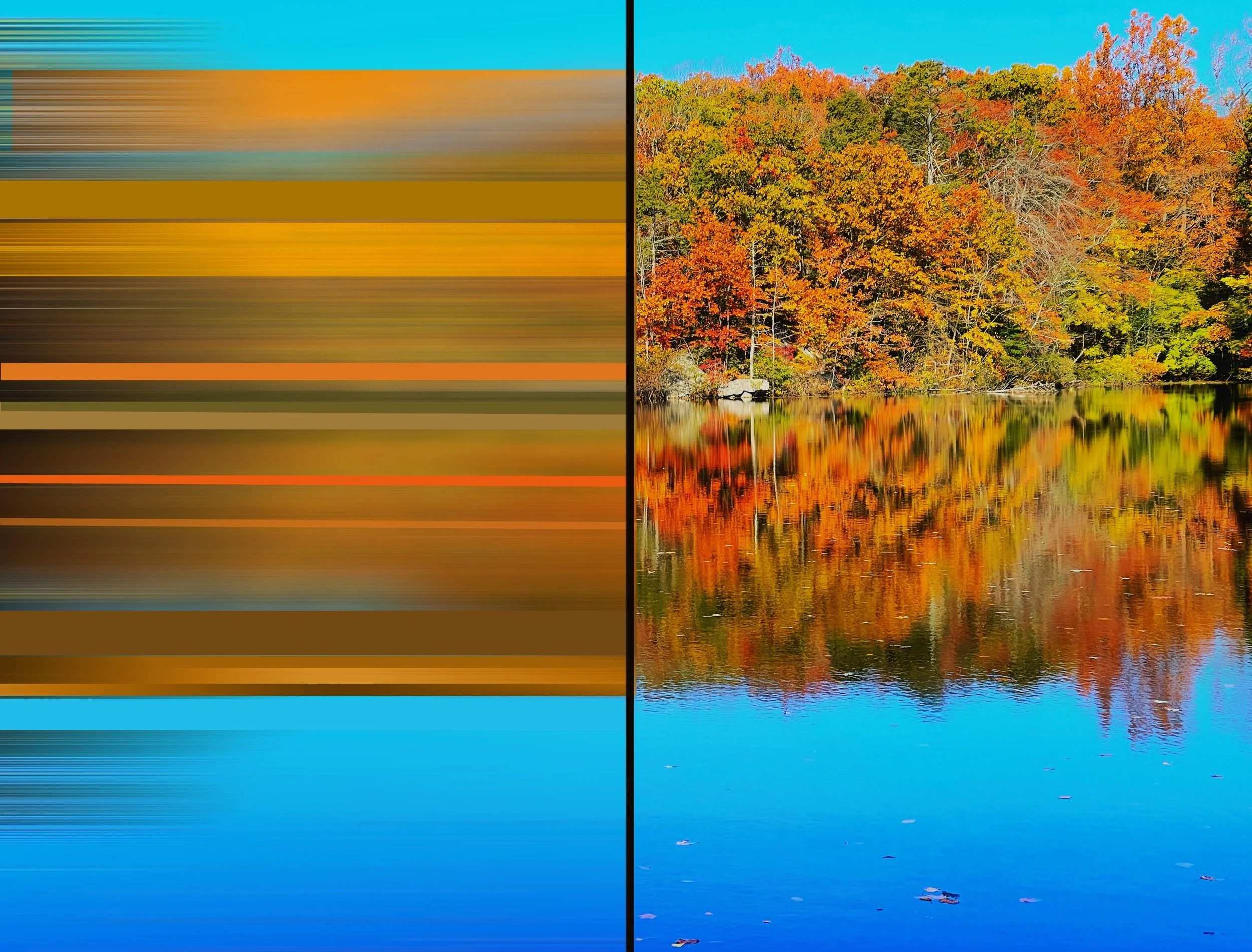 Fall Diptych_Inkjet_30x20.jpeg