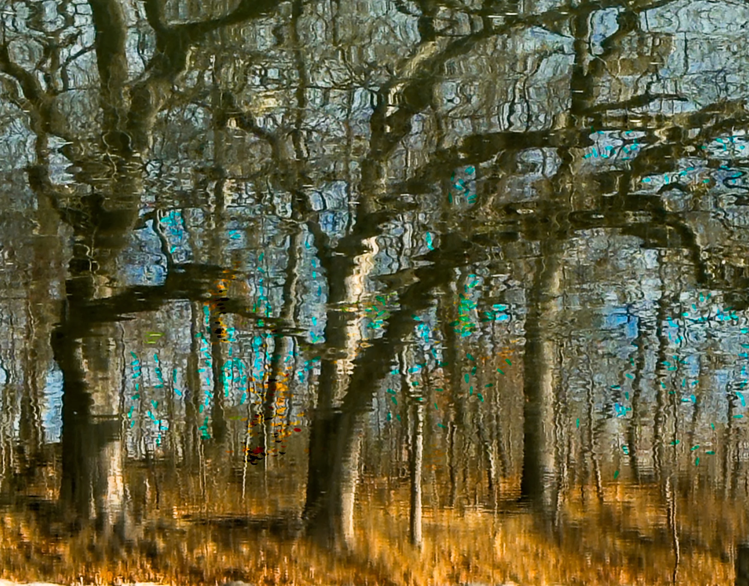 Turquoise_Reflection_inkjet_20x16.jpg