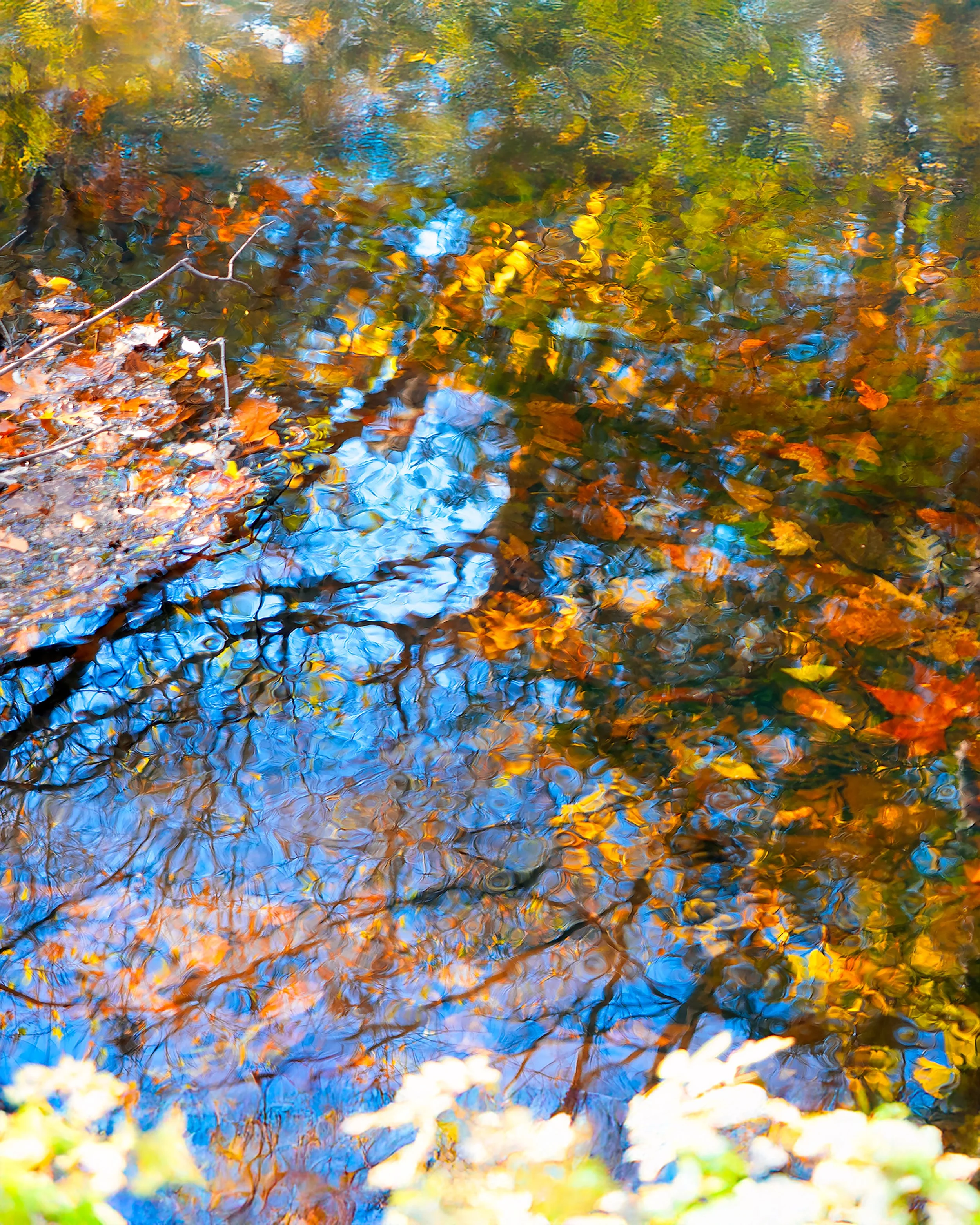 Reflections4_editcolor_efex copy.jpg
