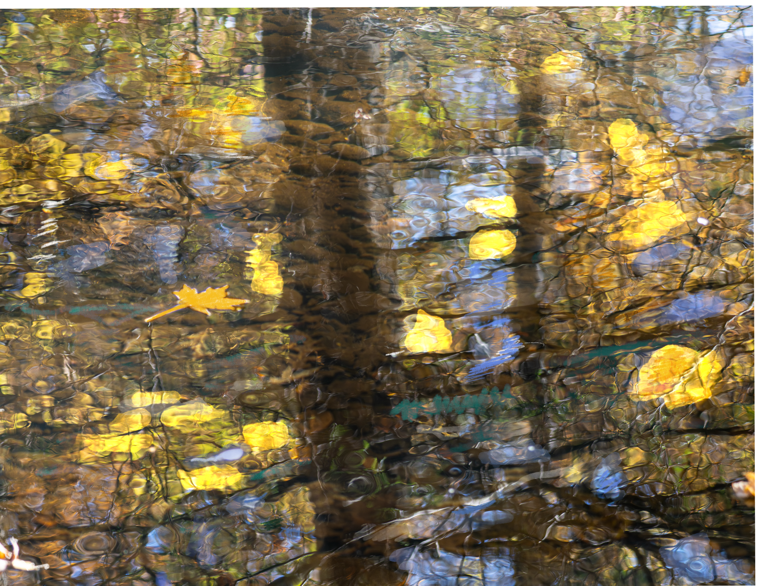 IMG_4490.png