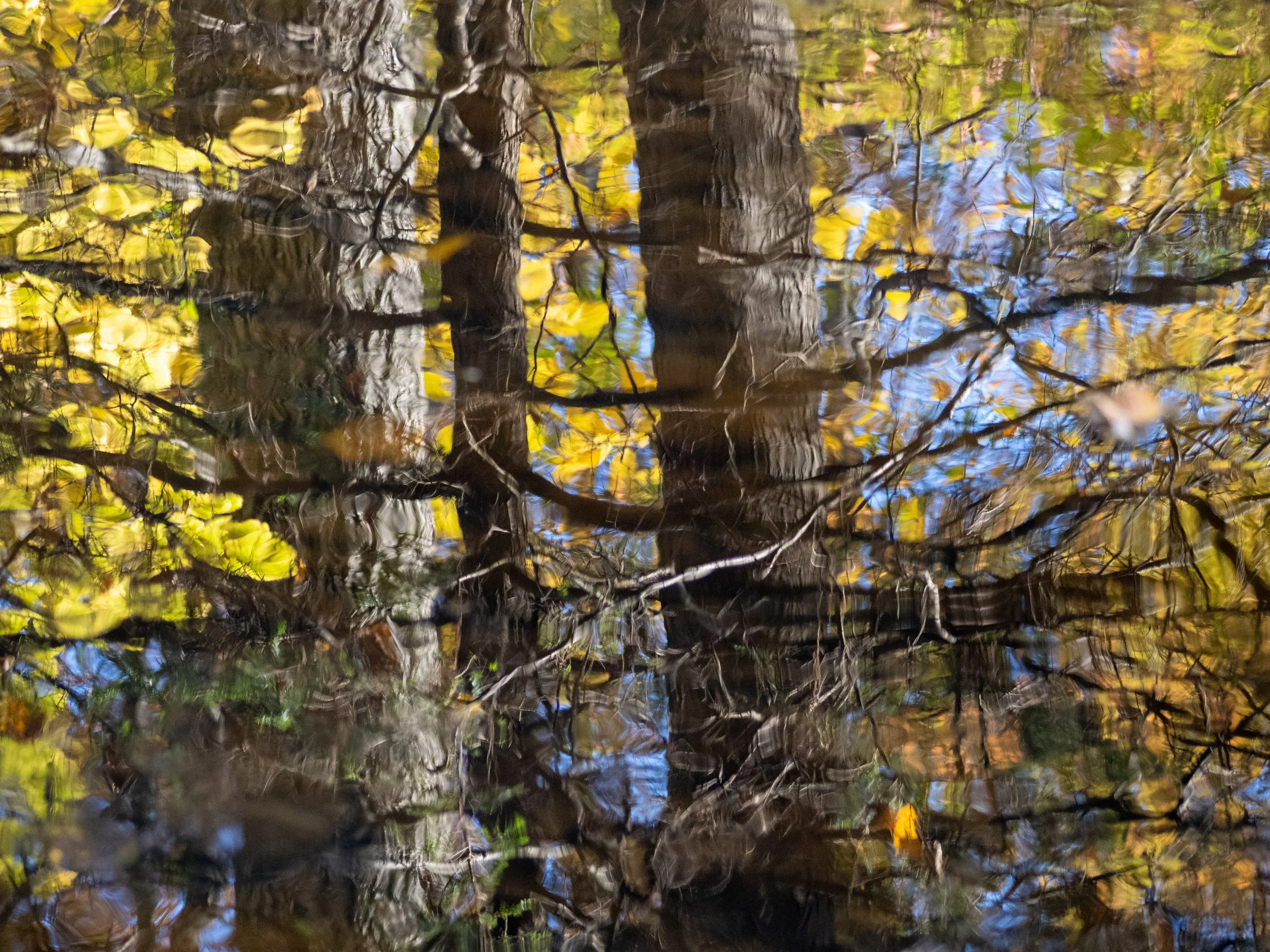  Autumn Reflections 