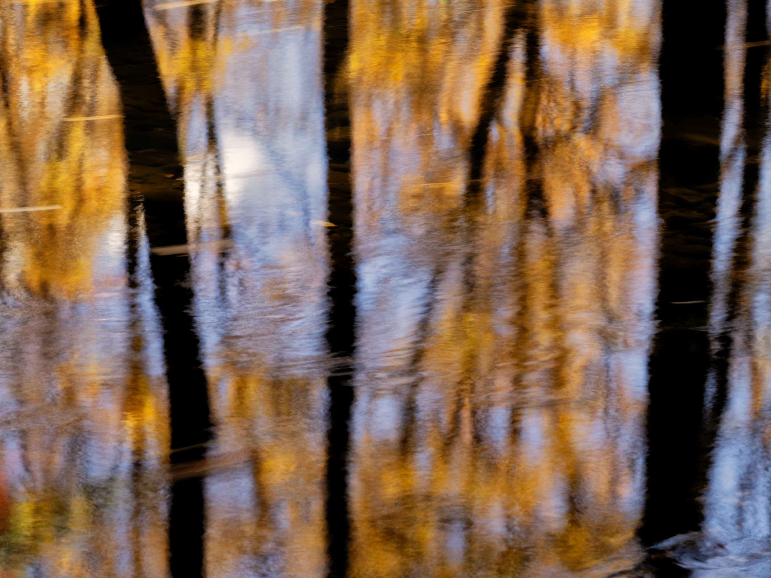 Autumn Reflections VII