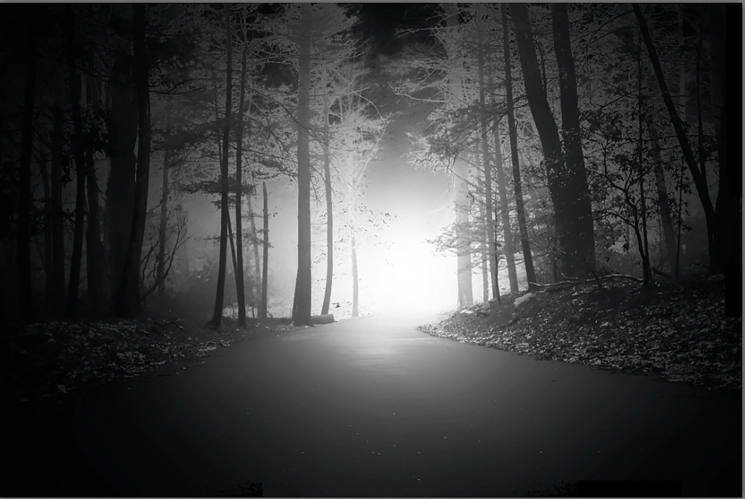 Screen Shot 2018-10-26 at 10.27.53 PM-Edit.jpeg