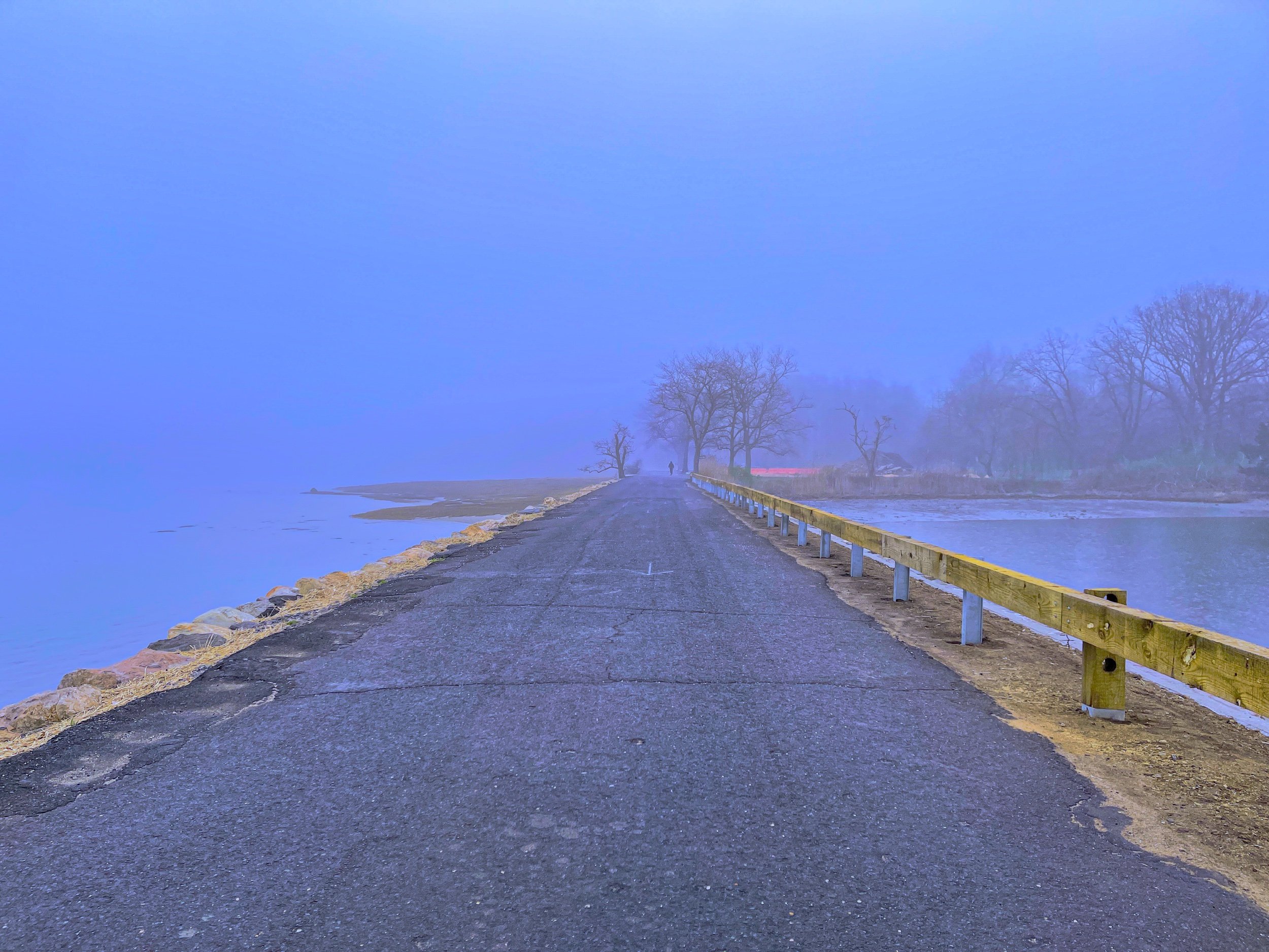 Todds Point_master-2Bl.jpeg