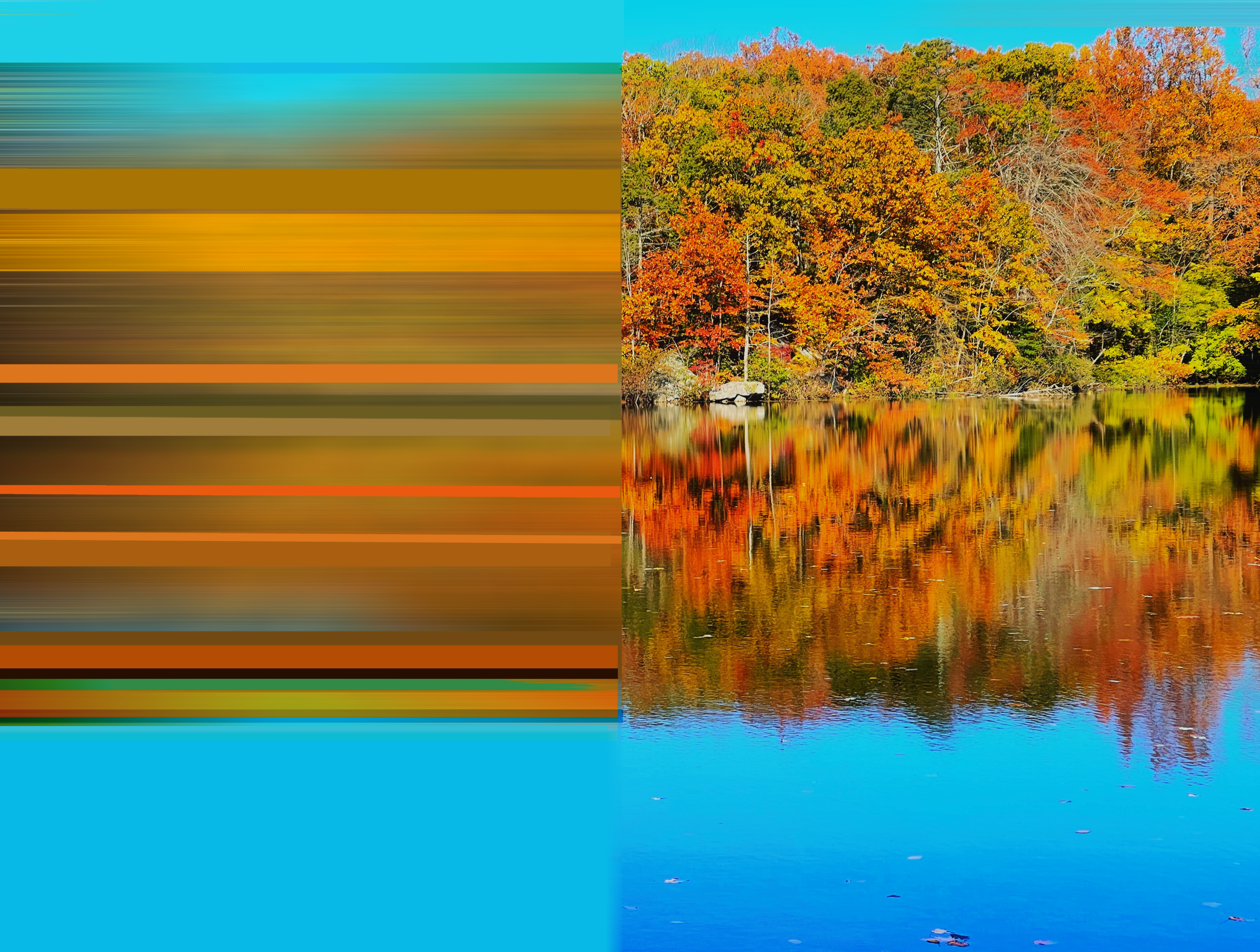 Fall Diptych .png