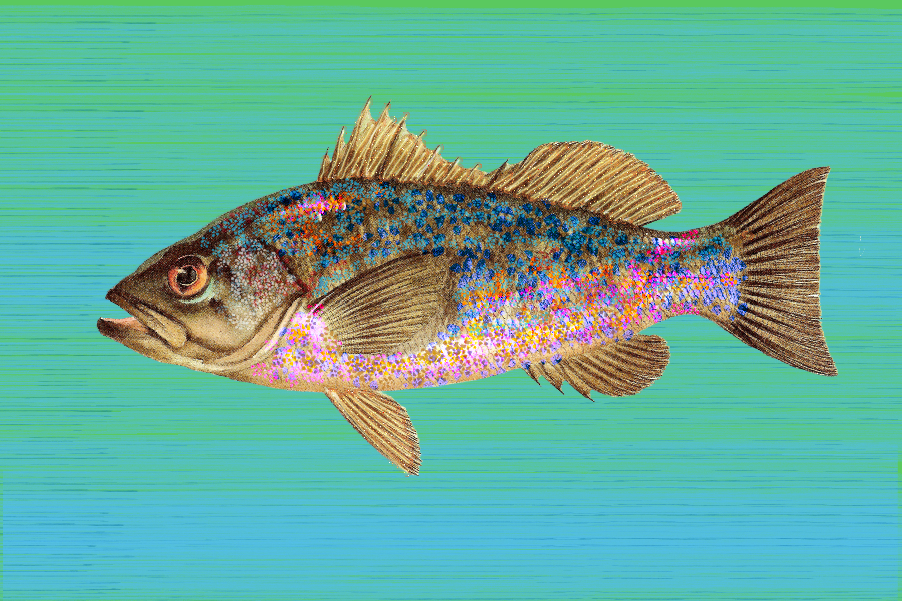 Untitled_Artwork 5.png