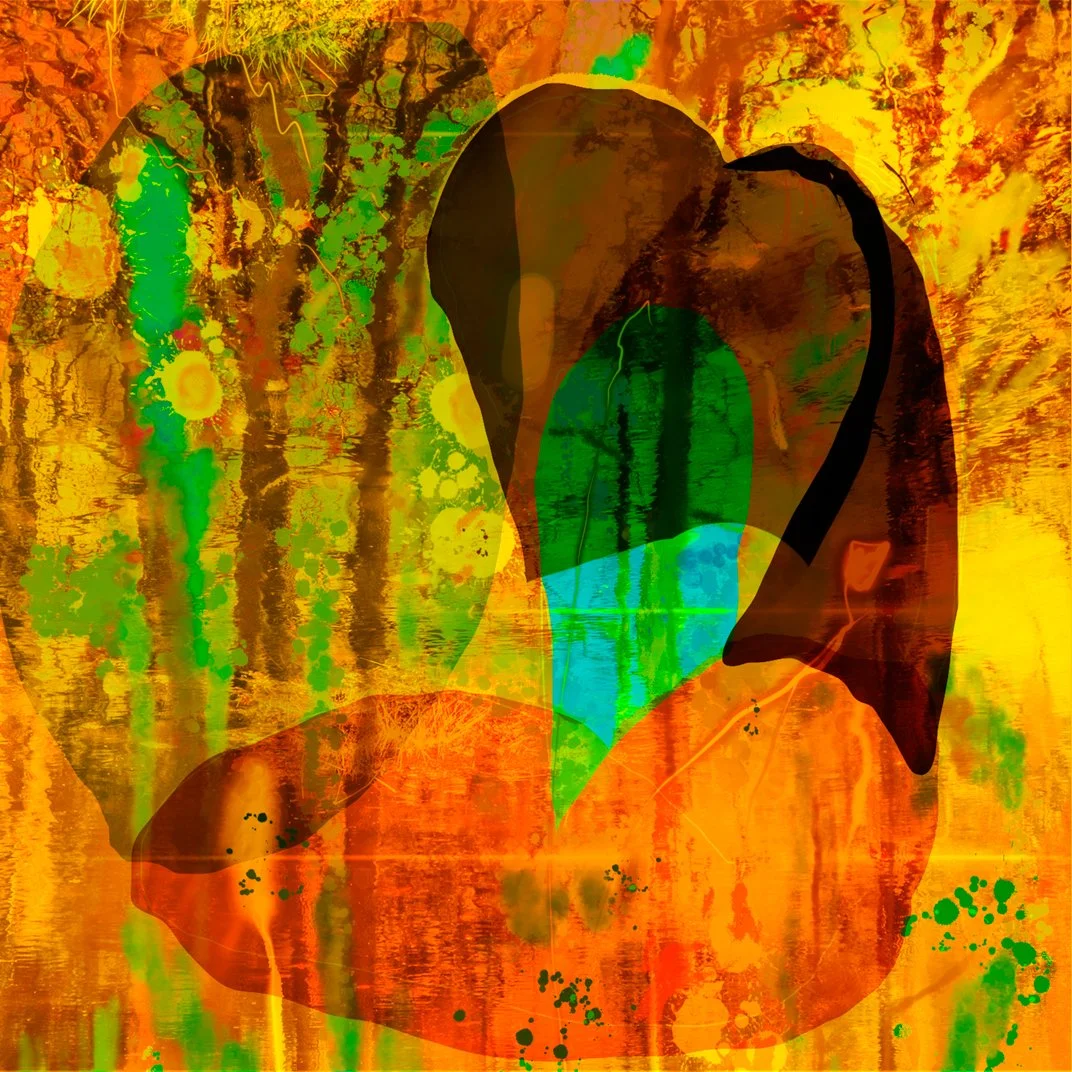 Tapestry of thoughts (1).jpeg