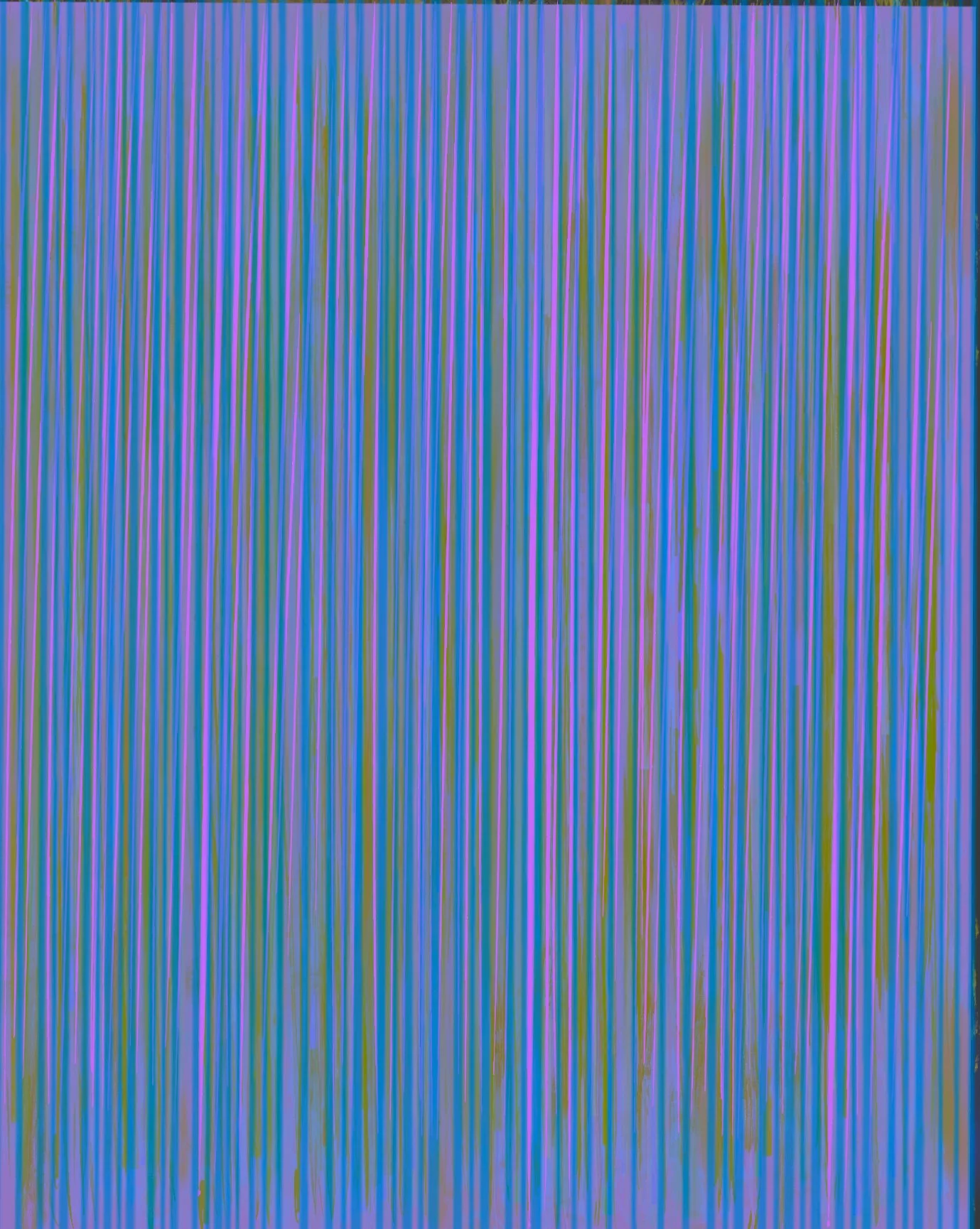 IMG_3595.jpeg
